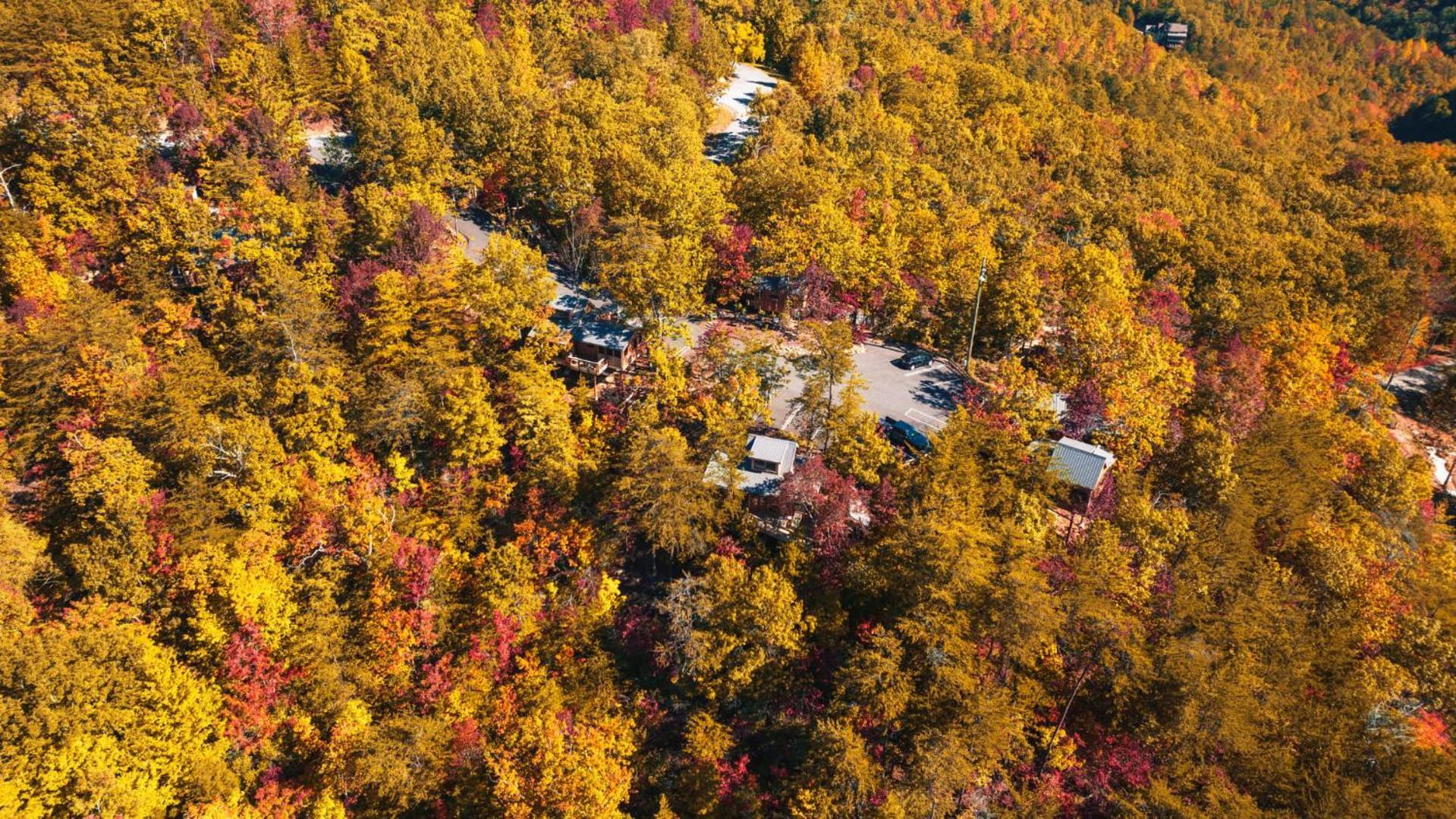 The Blackjack Oak In Treehouse Grove At Norton Creek جاتلينبرج المظهر الخارجي الصورة